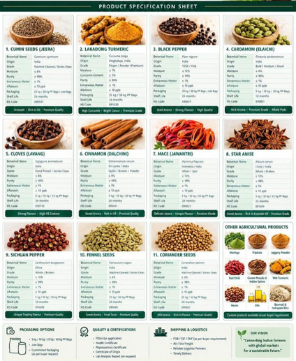 - Cumin Seeds (Jeera) - Lakadong Turmeric - Black Pepper - Cardamom - Cloves - Cinnamon - Mace - Star Anise - Sichuan P – product photo 1, product detail gallery