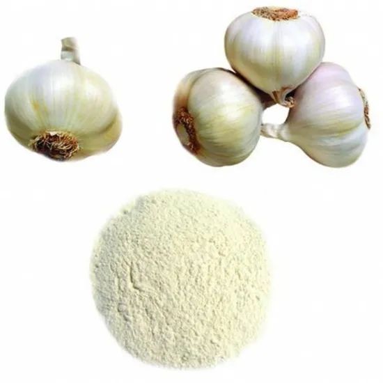 Premium 100% Natural Dehydrated Garlic Powder for Cooking Trademark CHBT Origin Henan China Specification 25kg Type The First - Image 5