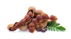 TAMARIND - Image 1