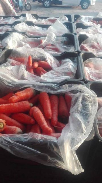 Carrot - Image 3