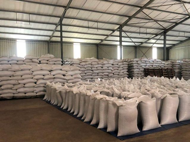 High quality Sesame seeds Organic Yes Shelf Life 5 Packaging 50kg Color yellowish Features Peeled Quality Grade 1 Origin Worldwide - Image 5
