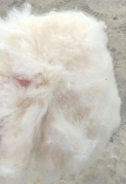 Kapok fiber - Image 4