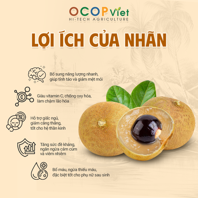 Nhãn Xuồng Cơm Vàng - Golden Flesh Boat Longan Brand Name OCOP Viet Place of Origin Vietnam Packaging Details - Image 3