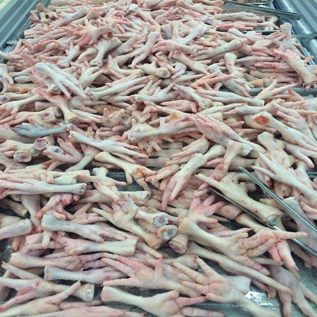 Premium Quality Wholesale Chicken Feet Frozen Buy Now Fast Delivery Trusted Supplier High Grade - Image 5