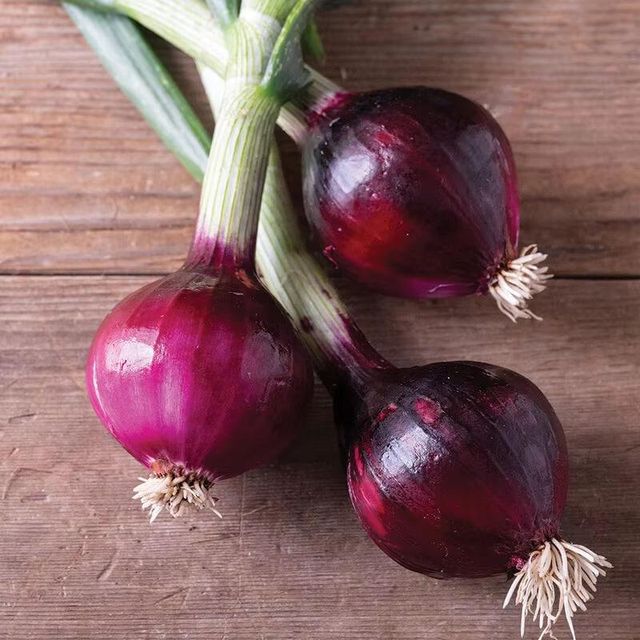 IQF Red Onion Frozen Best-selling 5-7cm Red Onion Vegetable Grade A Color red Type Onion Weight (kg) 10kgs Shape dices;slices - Image 4