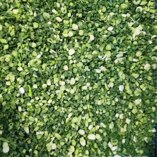 Frozen Fresh Green Onion IQF Frozen Spring Onion Type IQF Shape Round Color Spring Weight (Kg) 10 Taste Delicious Standard Food - Image 1