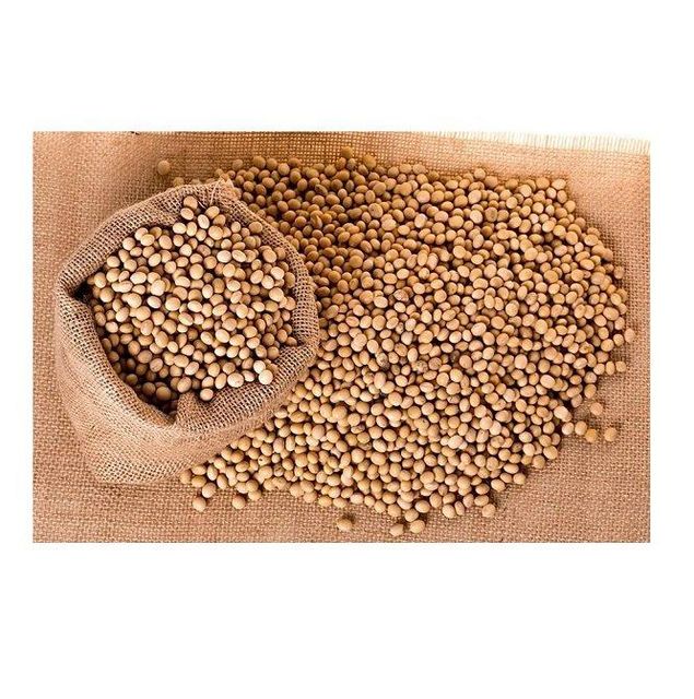 High Quality Organic Soybean / Dried Soya Beans Available For Sale At Low Price - Image 3