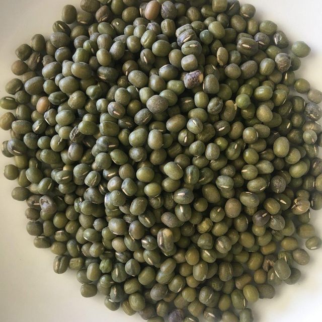 MUNG BEAN 10-25Kg Per Box Star Laboratories Brand 1 Year Shelf Life - Image 1