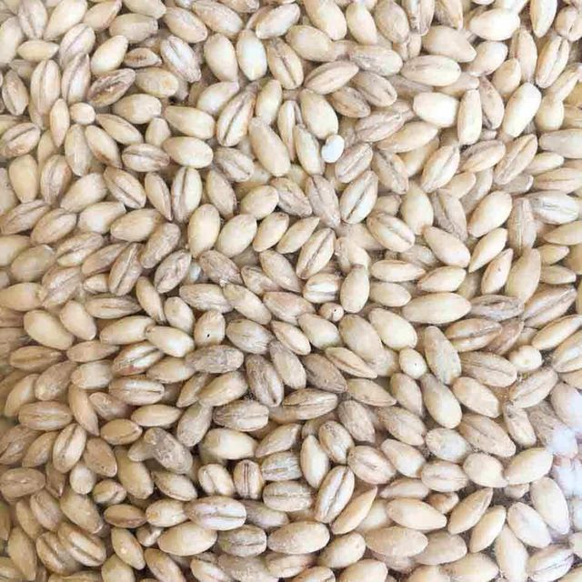 High Quality Barley Grain For Global Export Premium Barley Grain Packed Fresh And Ready For Wholesale Orders - Image 4