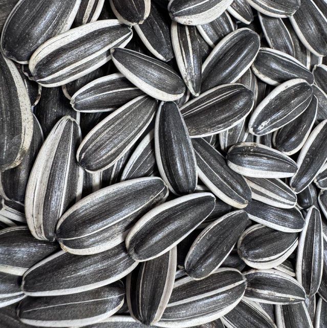 New Crop Organic Dried Black Sunflower Seeds High Quality Raw Wholesale Bird Feed - Image 5