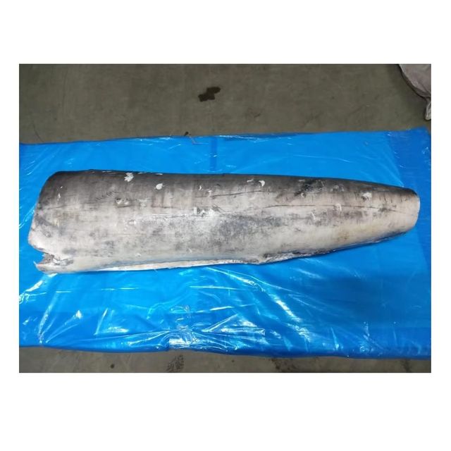 Frozen Sword Fish Carefully Processed For Fresh Taste Retention With 98% Quality Preservation During Cold Transport - Image 4