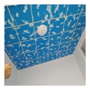 Aluminum Composite Panel PVC Gypsum Ceiling Color White HS Code 392590 Pattern Customized Model NO. 595*595mm Delivery Time - Image 1