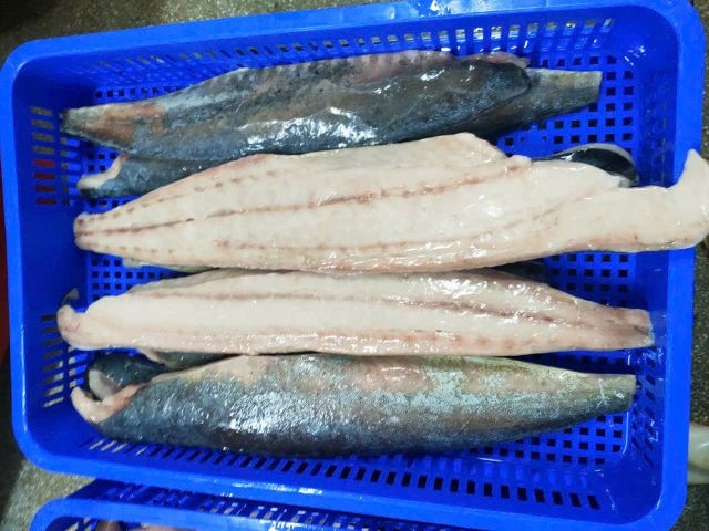 MAHI MAHI -FILLET and PORTION - Image 2