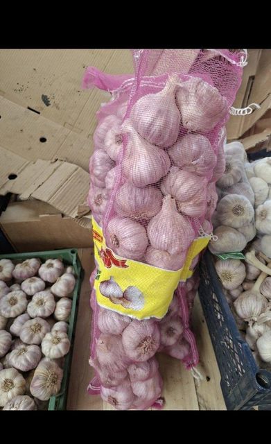 Garlic – product photo 6, product detail gallery