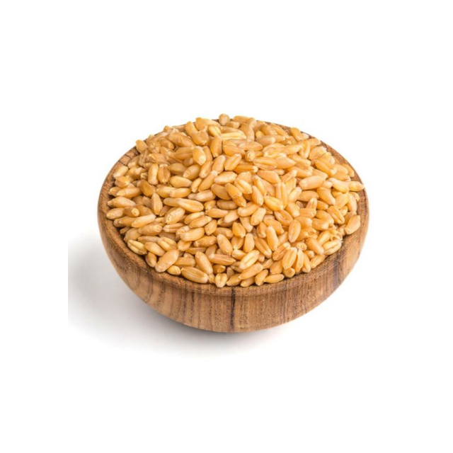 Golden Fields Top-Quality Whole Wheat Grains Perfect for Healthy Living Premium Quality Whole Wheat Grains - Image 2