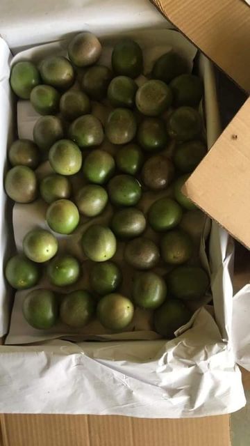 BEST SELLER - Fresh PASSION FRUIT Vietnam for export with standard quality and best price – product photo 3, product detail gallery