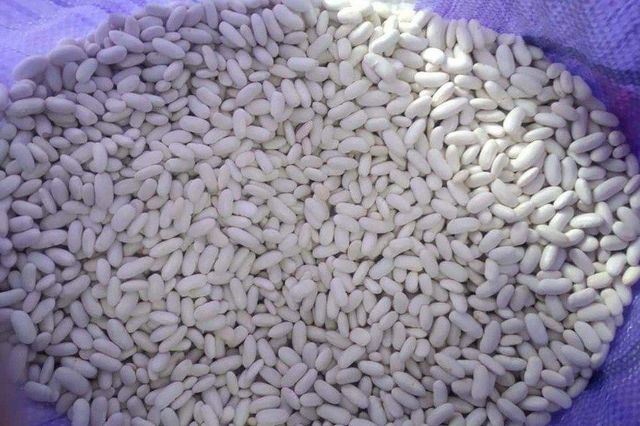 premium White kidney beans Organic Yes Grade PREMIUM Origin Egypt, egypt Shelf Life 24 MONTH Place of Origin EGYPT Max. Moisture (%) 15% - Image 4