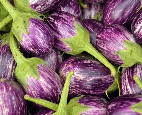 Fresh Brinjal - Image 5