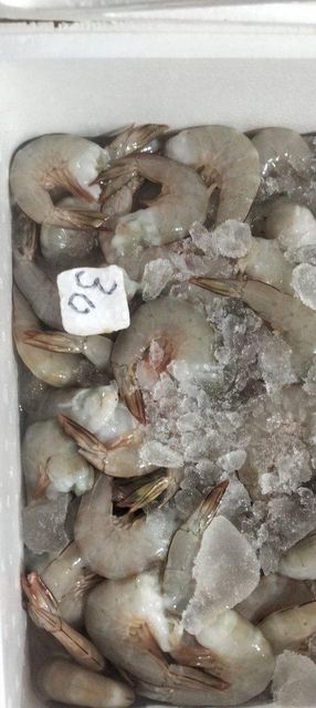 Premium Frozen Vannamei & Black Tiger Shrimp| East Kalimantan Origin - Borneo Indonesia - Image 3