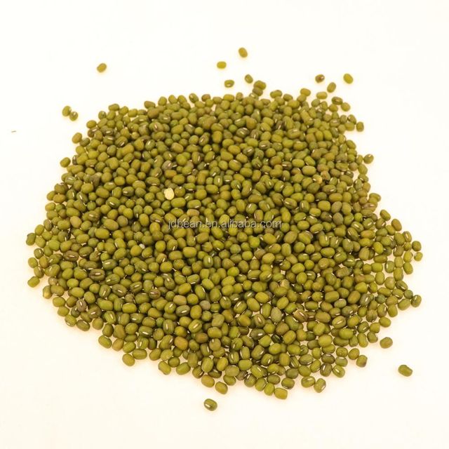 Mung Bean Non GMO Chinese Good Quality Sprout Mung Bean Seed Moong Dal - Image 1