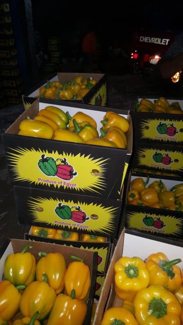 Egyptian Bell Peppers - Image 3