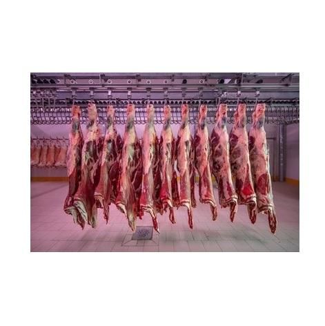 Frozen Clean Beef Carcasses For sale At Best Price - Image 3
