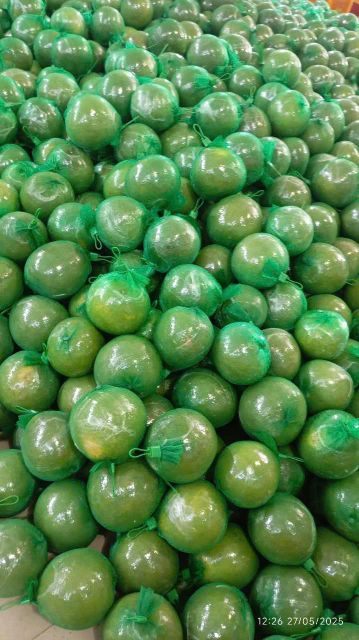 BEN TRE VIETNAMESE GRAPEFRUIT Color vỏ ngoài màu xanh tự nhiên Place of Origin bến tre việt nam Feature trái cây tươi , sử dụng ngay dùng làm nước ép  bưởi , ăn trực tiếp - Image 6