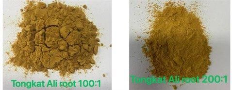 Tongkat Ali Extract 100:1 and 200:1 - Image 2