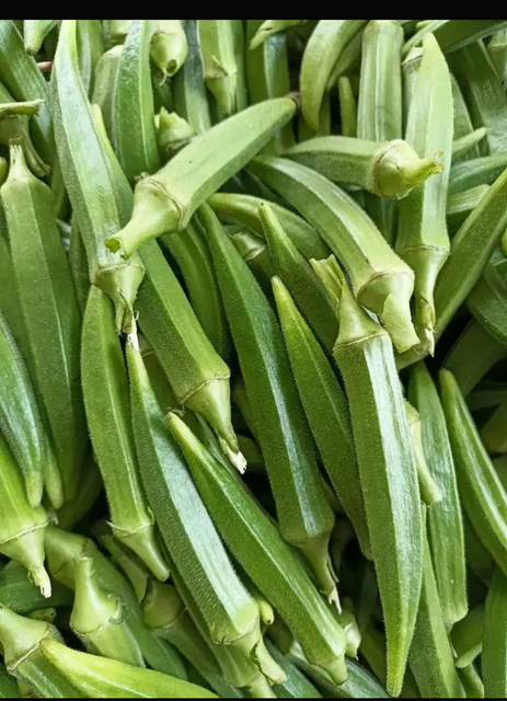 Fresh Okra Traceability Traceability Ensured Quality Standards Strict Agricultural Standards Sustainability Focus Strong Focus On Sustainability - Image 1
