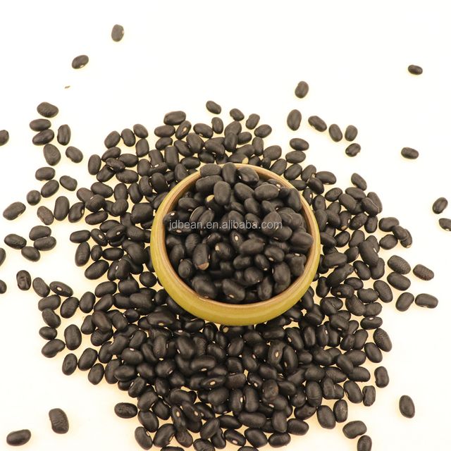 Wholesale Dried Organic 500 550 Small Black Beans Black Kidney Beans - Image 3