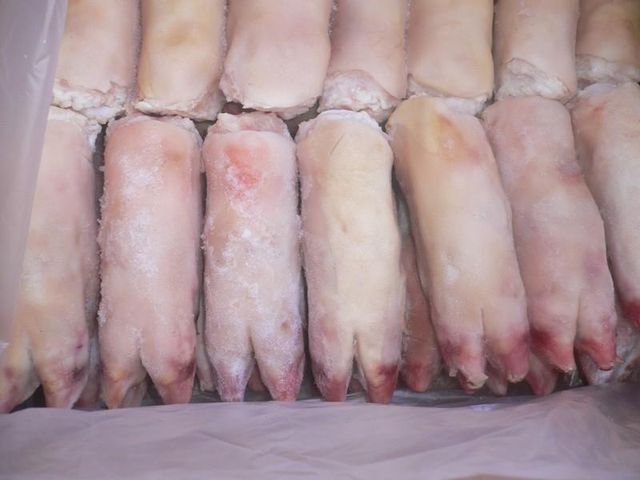 Frozen Pork Feet - Image 5