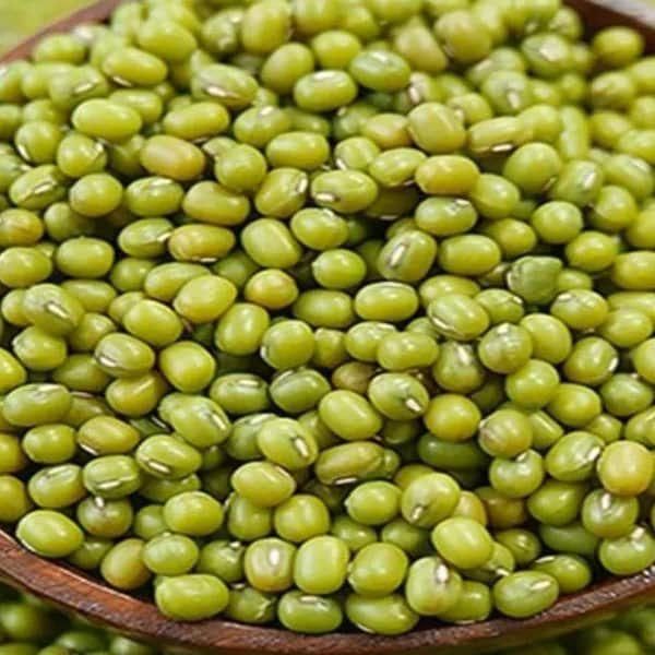 White beans.green mungs.soybeans.sesame beans Origin Ethiopia Features Organic Product Type Oil seeds product - Image 4