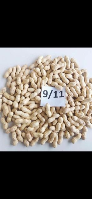 Peanuts in shell or blanched - Image 2