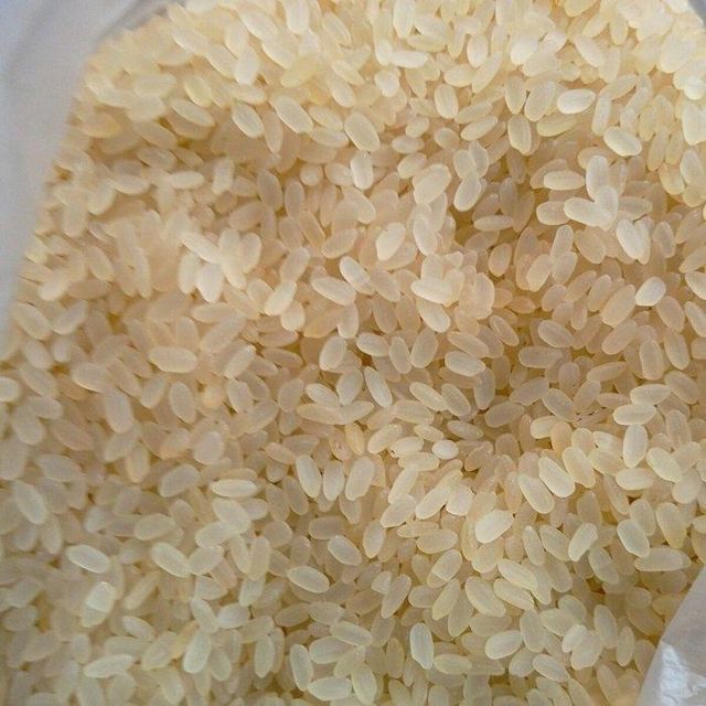 High Quality New Crop Konjac Round Dried Long and Short Pattern Calrose Rice Soft Texture - Image 4