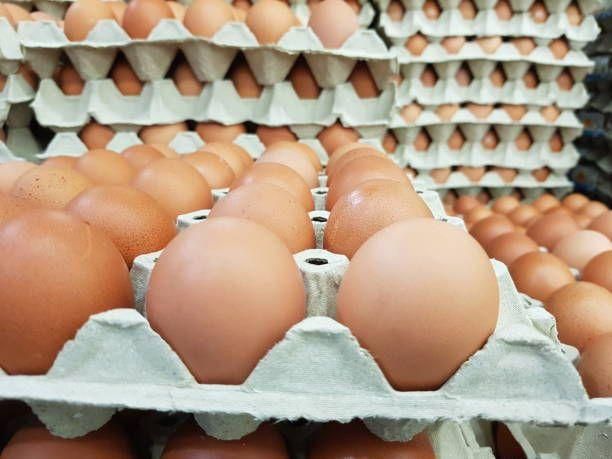 Farm Fresh Brown and White Shell Chicken Table Eggs Grade A Size 5 G Part White Type BROWN Length 3 Cm Style Fresh Organic Yes - Image 5