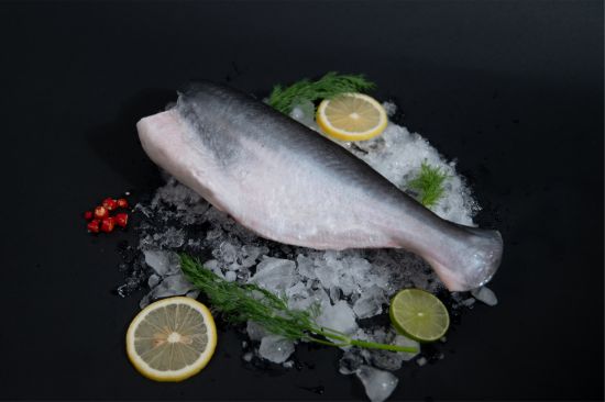 Pangasius HGT - Image 1
