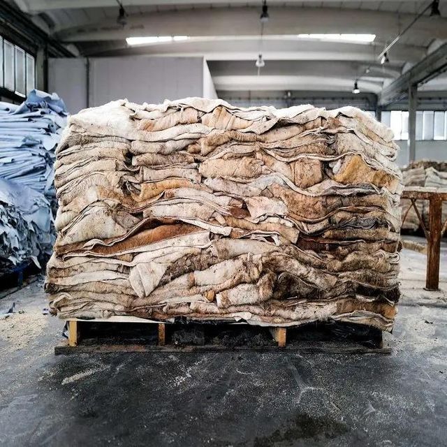Wet & Salted Donkey and Cow hides - Image 5