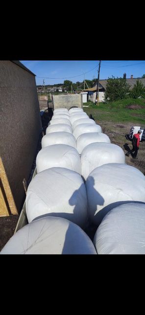 Beet pulp (pressed) Place of Origin Russia Quality crude protein 7.0 - 8.0 Max. Moisture (%) moisture 60%-65% Shelf Life 1 - 1.5 years (when - Image 4