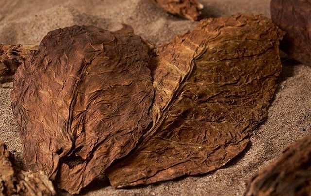 FCV Tobacco Leaves- Grade T1-T3 - For Cigarette Manufacturing - Image 3