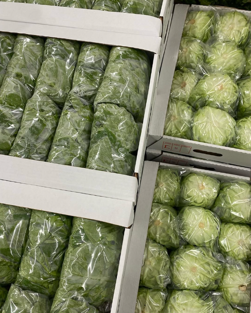 BUY CRISP FRESH HEALTHY GREEN LETTUCE PREMIUM QUALITY 10 HEADS PER CARTON FROM TRUSTED GROWERS - Image 4
