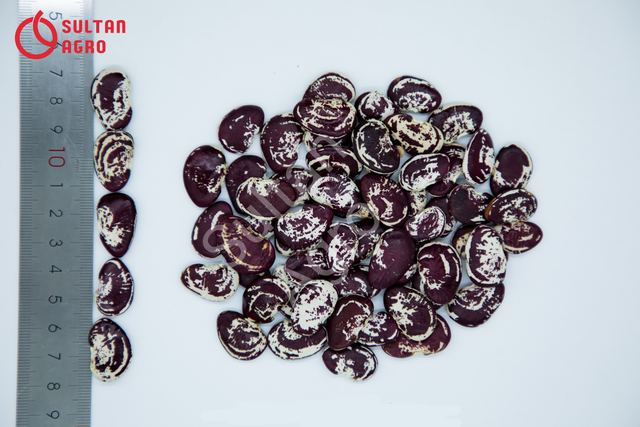 Natural red speckled kidney beans high grade organic kidney beans in bulk from Uzbekistan manufacturer - Image 4