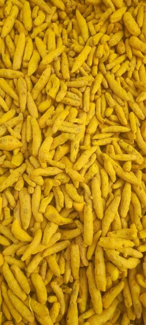 Turmeric Finger – product photo 4, product detail gallery