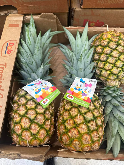 MOST POPULAR DOLE TROPICAL FRESH SWEET WHOLE PINEAPPLE PREMIUM EXPORT GRADE 10KG CARTONS ON SALE - Image 1