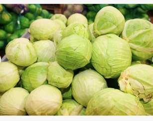 Fresh cabbage for sale. Top Quality imported grade Other fresh vegetables Fresh cabbage. Cheap and free shipping worldwide - Image 2