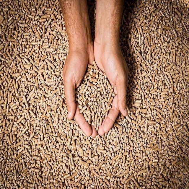 Cheap Price Supplier Premium Wood Pellets,Hot Sales Quality Wood Pellets for Sale Fir Pine Beech Wood Pellets in 15kg - Image 4