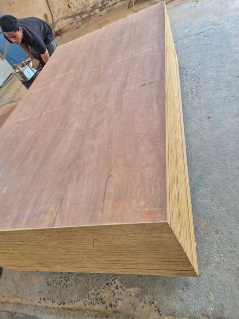 Imported Pinewood Flush Door - Image 4