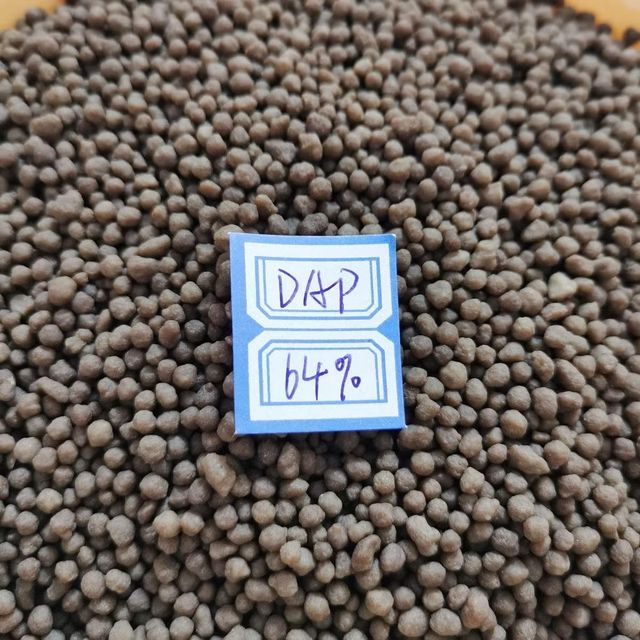 18-46-0 DAP Fertilizer Granular Multi-Nutrient Ammonium Phosphate Rock Phosphate Quick Release Industrial Use 98% Purity CAS No. - Image 4