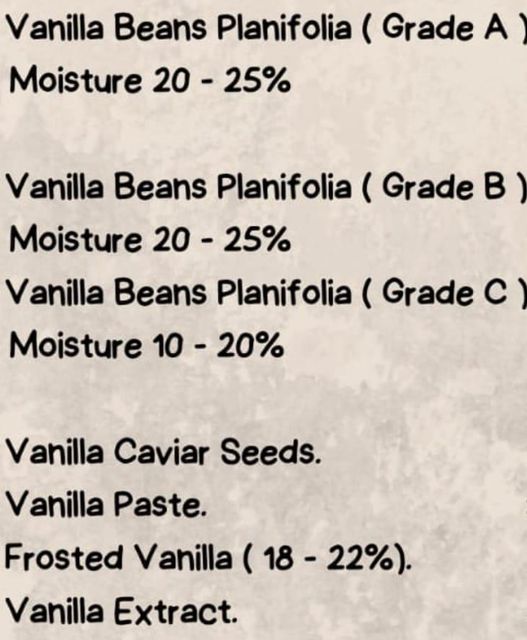 Vanilla Beans / Planifolia - Image 4