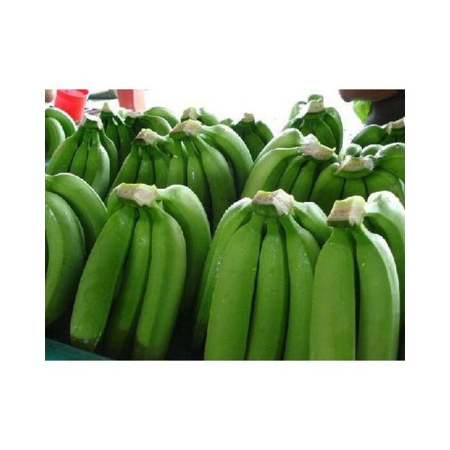 Fresh Green Cavendish Bananas Green Tanzania Banana Suppliers Tanzania Fresh Bananas for Export Fresh Frozen Fruit - Image 2