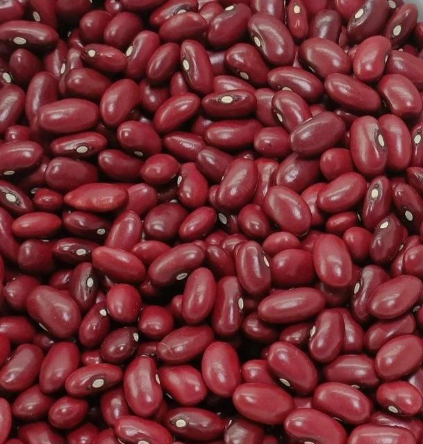 Read bean Organic Yes Origin Ethiopia Packaging Size 50 kg Degree of Processing Dried - Image 1